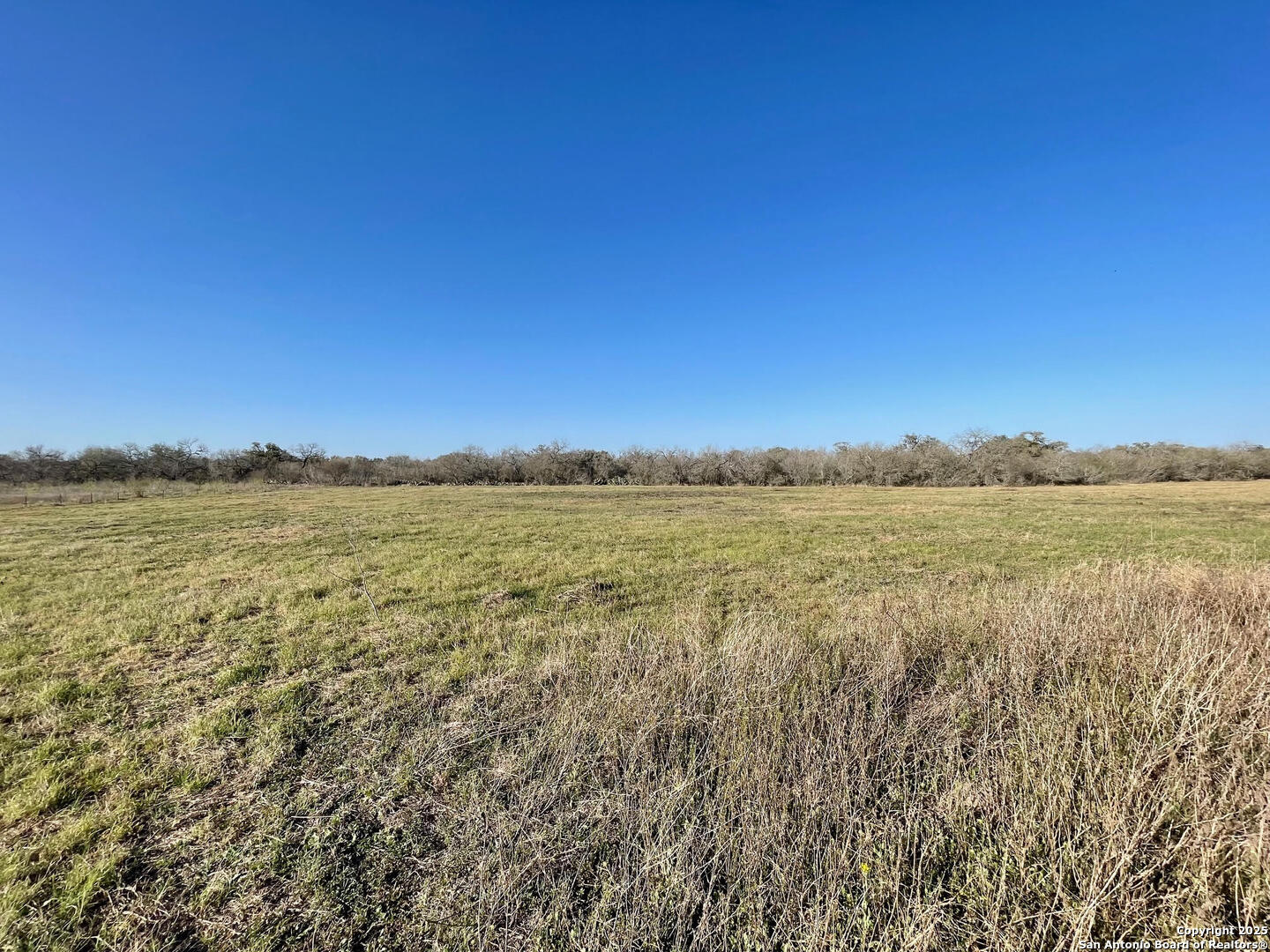 Tract 2 West King Lane Beeville TX 78142
