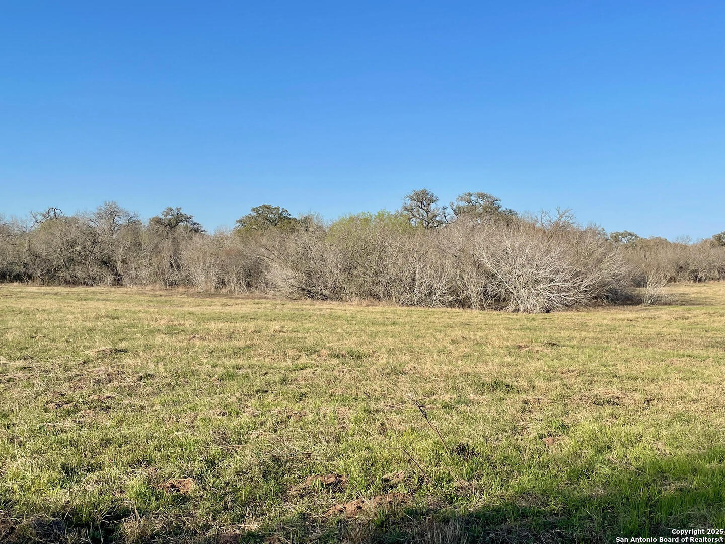 Tract 2 West King Lane Beeville TX 78142
