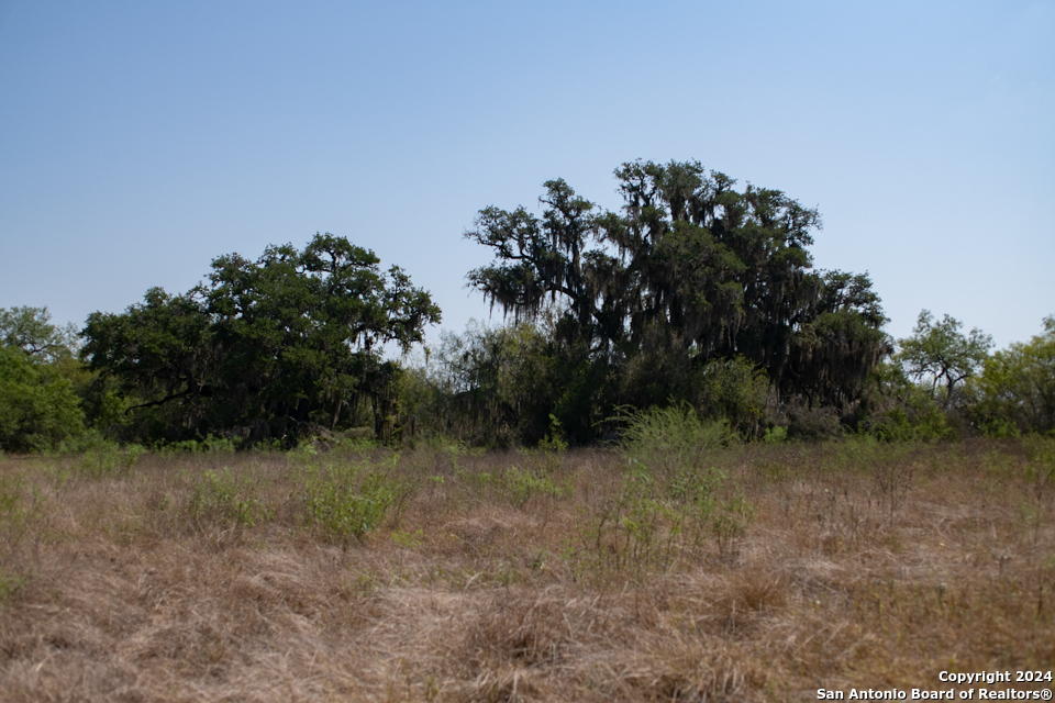 Tract 2 West King Lane Beeville TX 78142