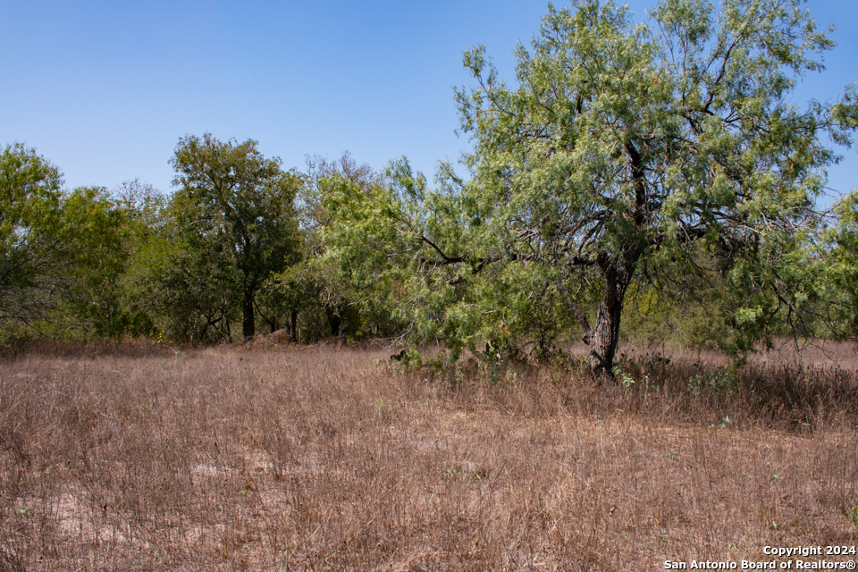 Tract 2 West King Lane Beeville TX 78142