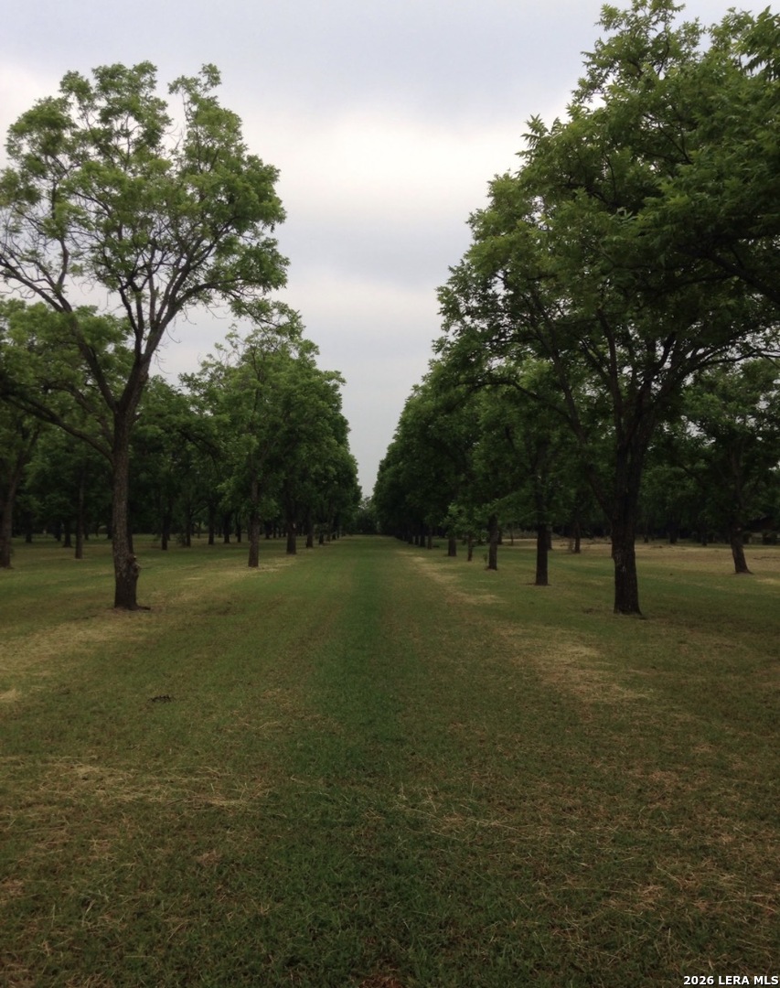 Tbd May Road Quemado TX 78877