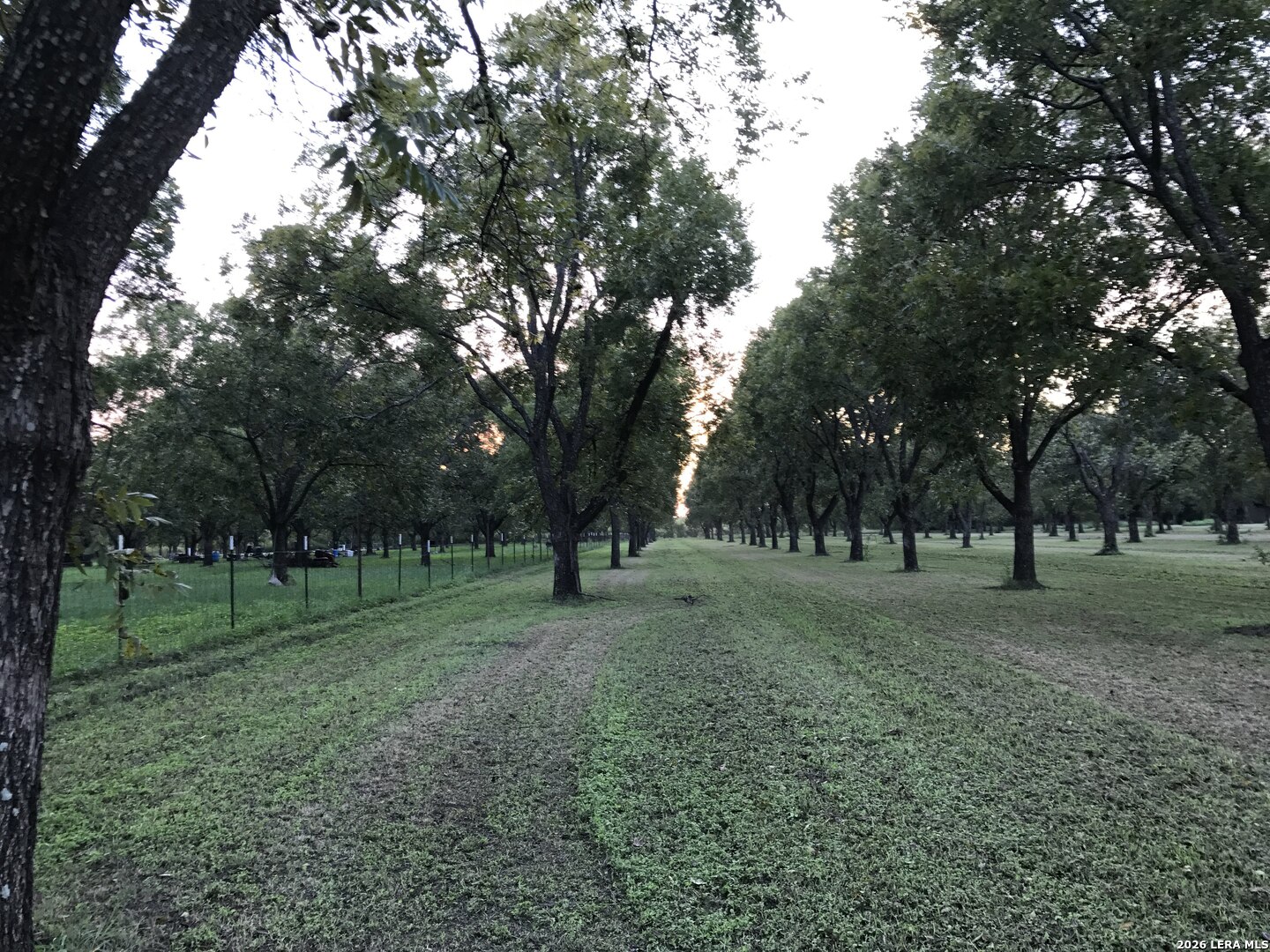 Tbd May Road Quemado TX 78877