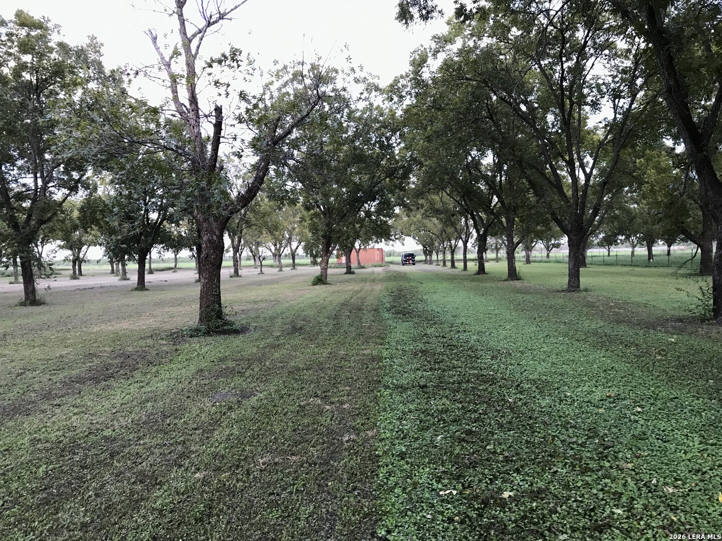 Tbd May Road Quemado TX 78877