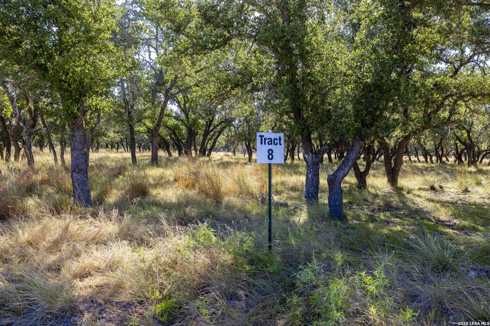 Tbd Legacy Oaks Drive Harper TX 78631