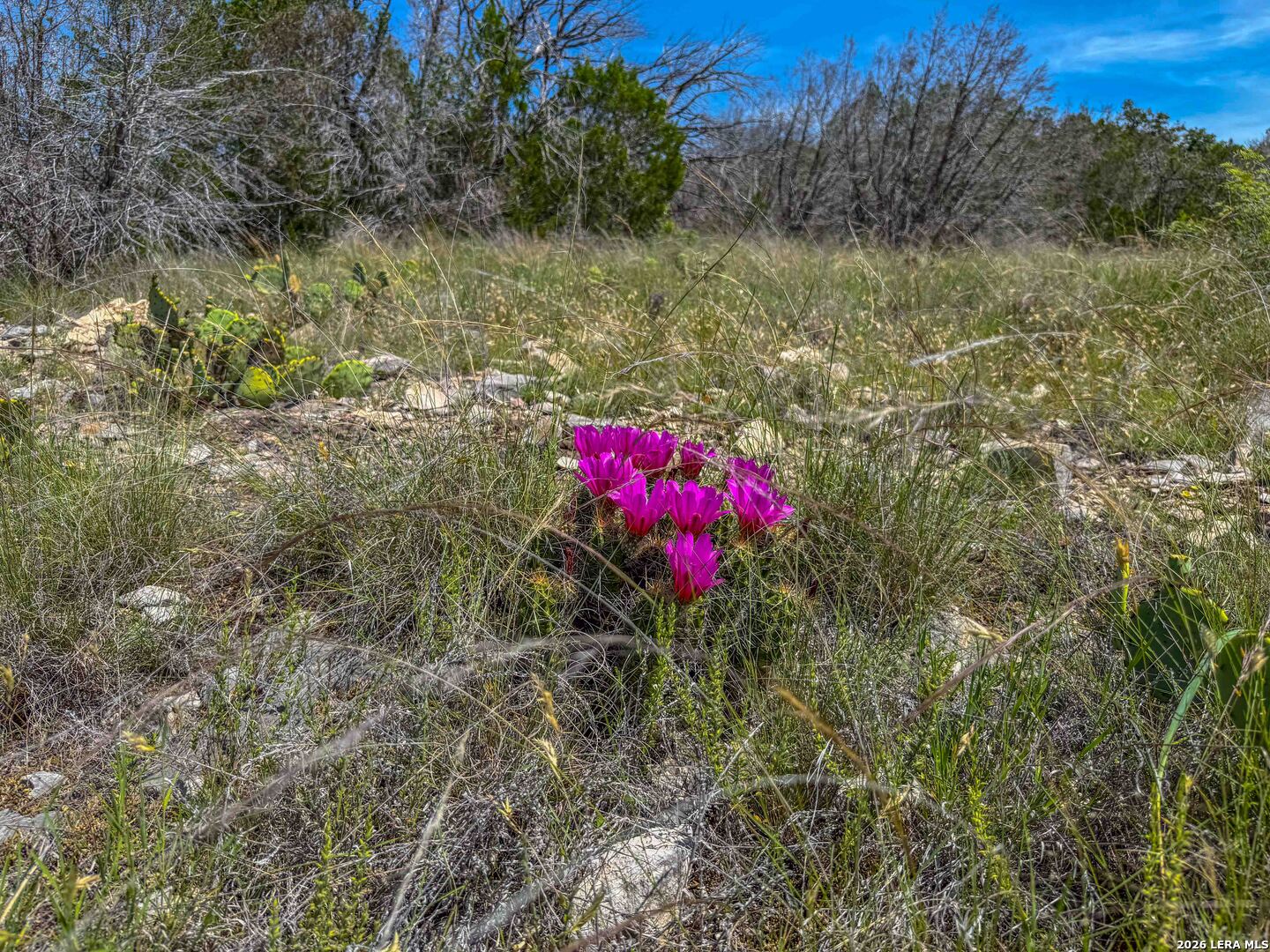 00 S Sd 45425 Rocksprings TX 78880
