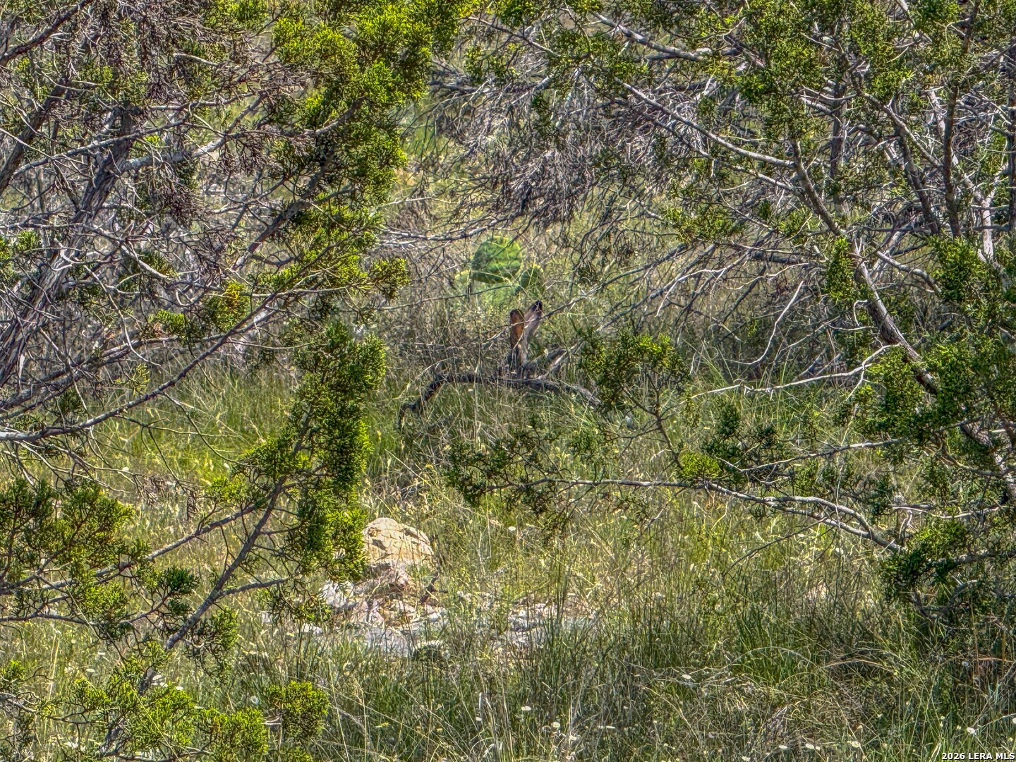 00 S Sd 45425 Rocksprings TX 78880