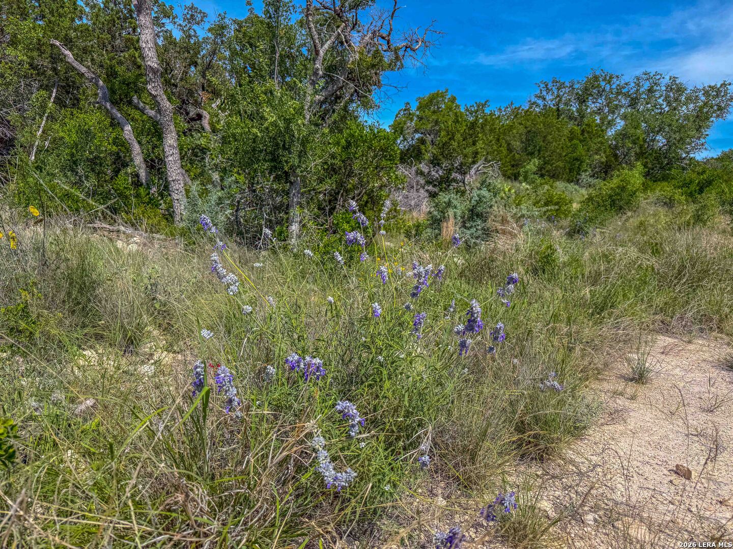 00 S Sd 45425 Rocksprings TX 78880