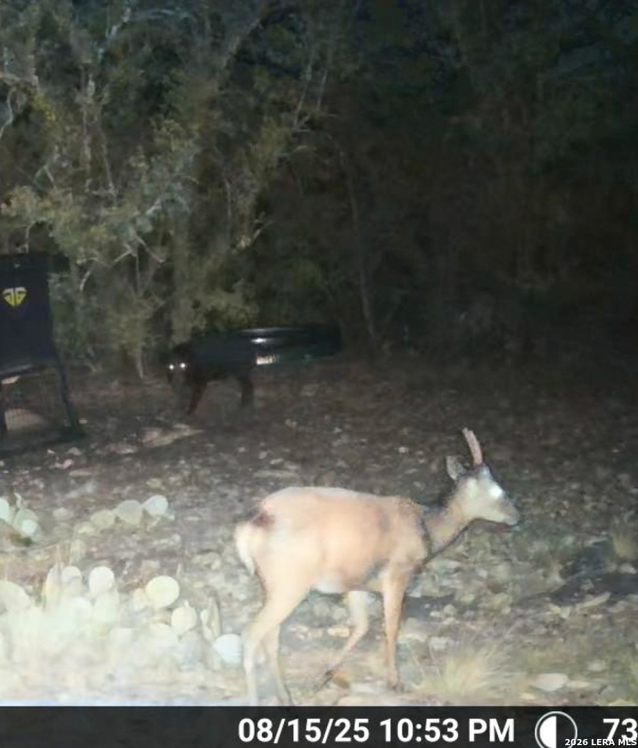 00 S Sd 45425 Rocksprings TX 78880