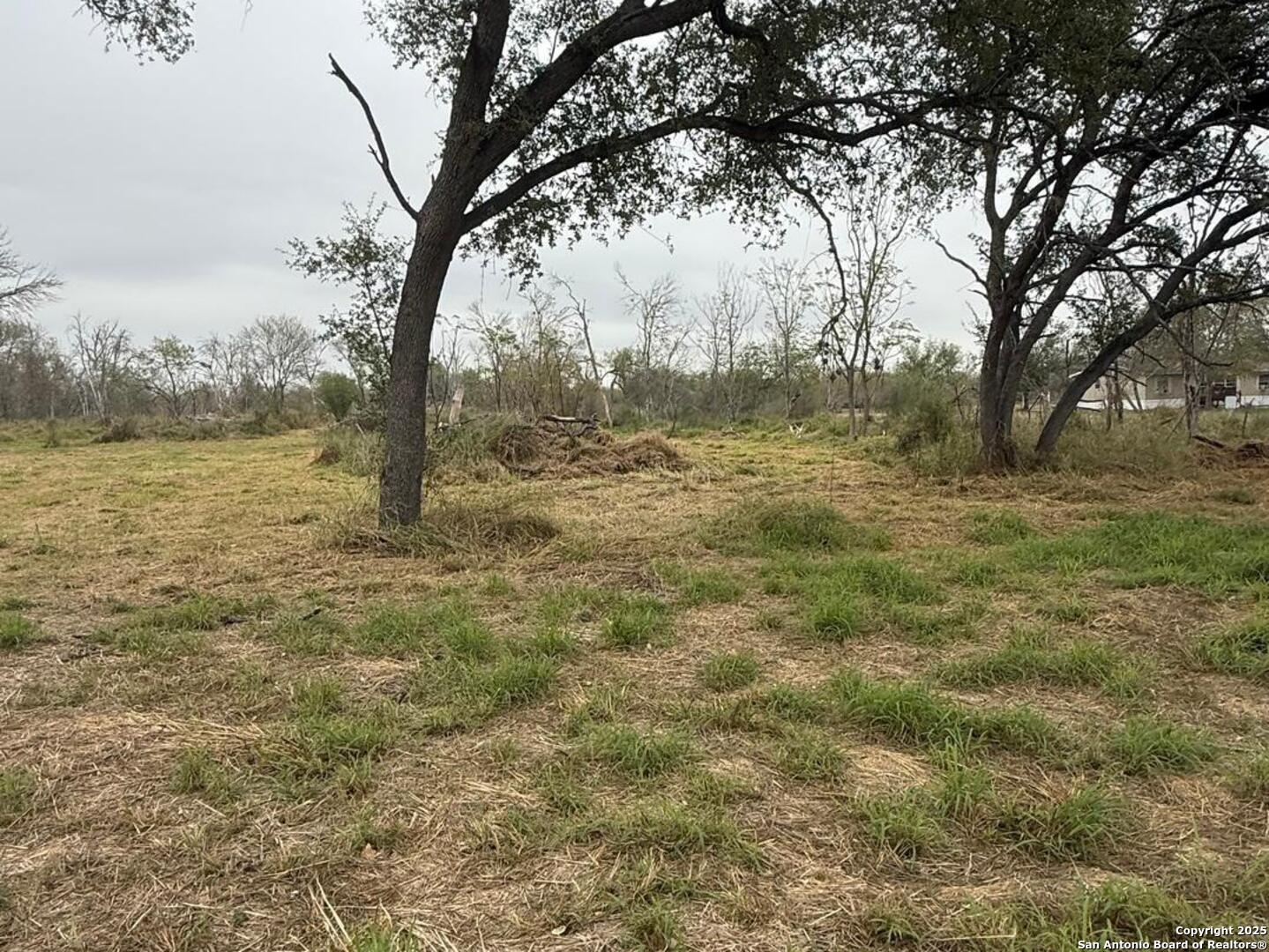Tbd Gidley Atascosa TX 78002