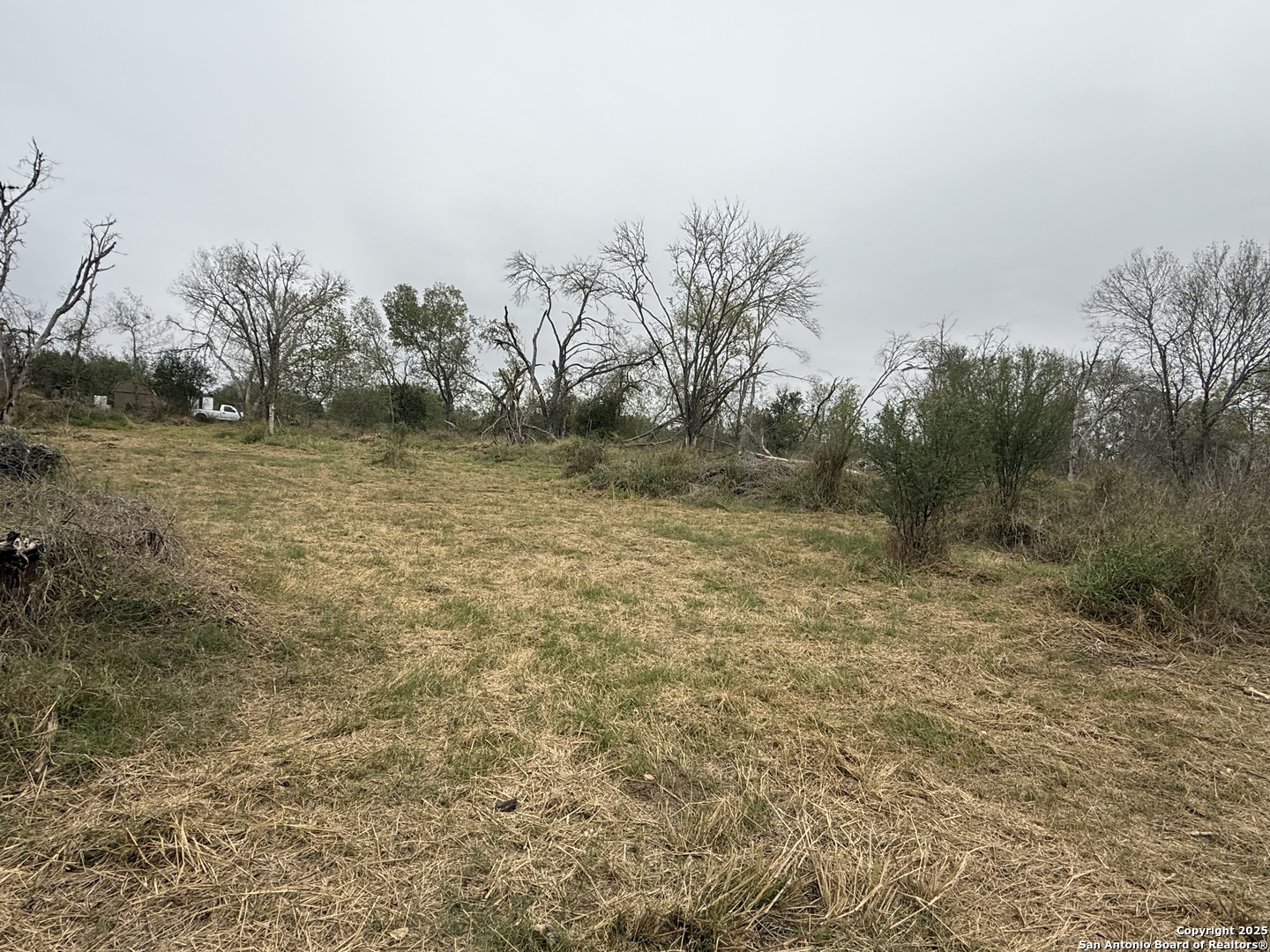 Tbd Gidley Atascosa TX 78002