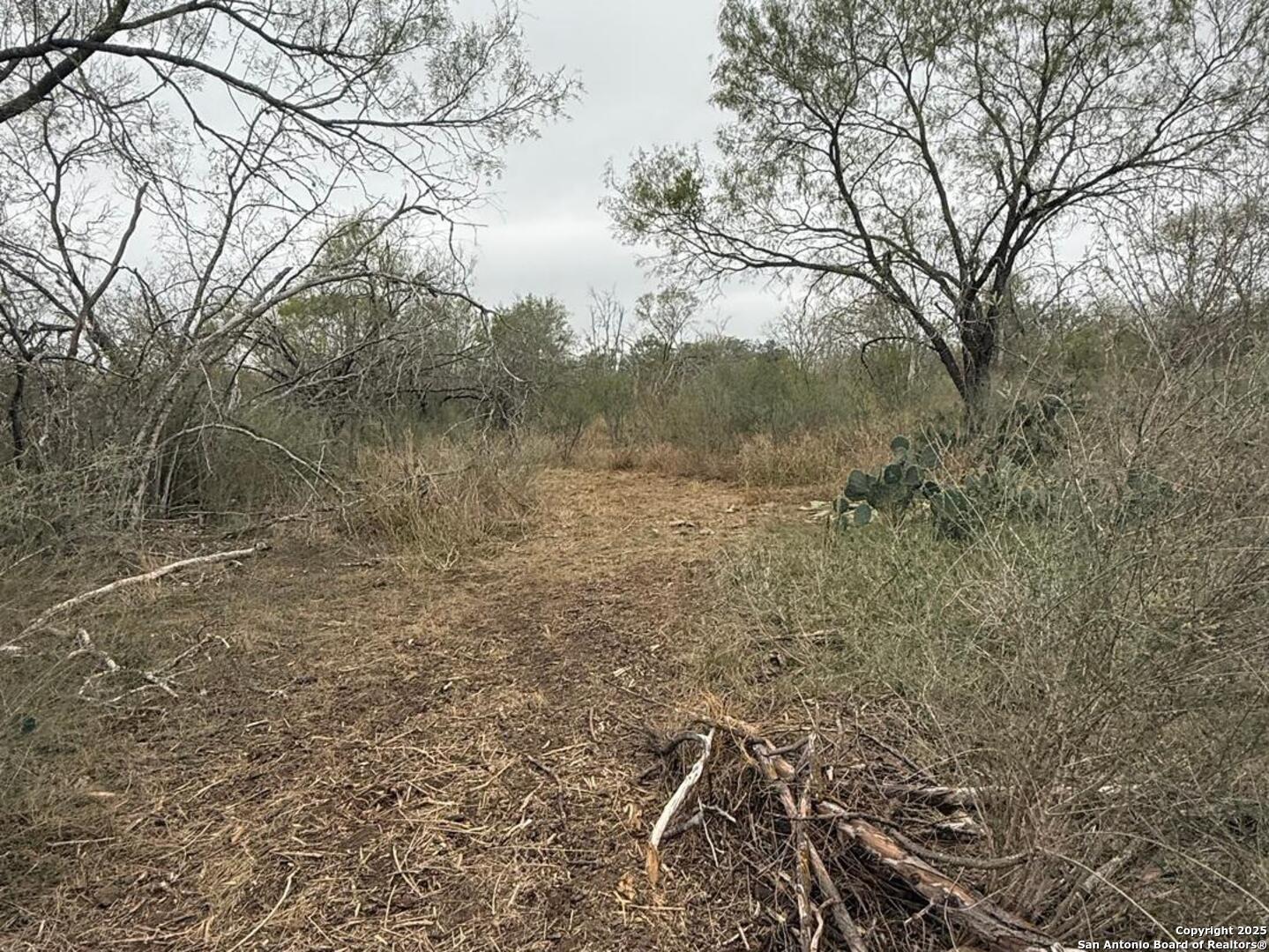 Tbd Gidley Atascosa TX 78002