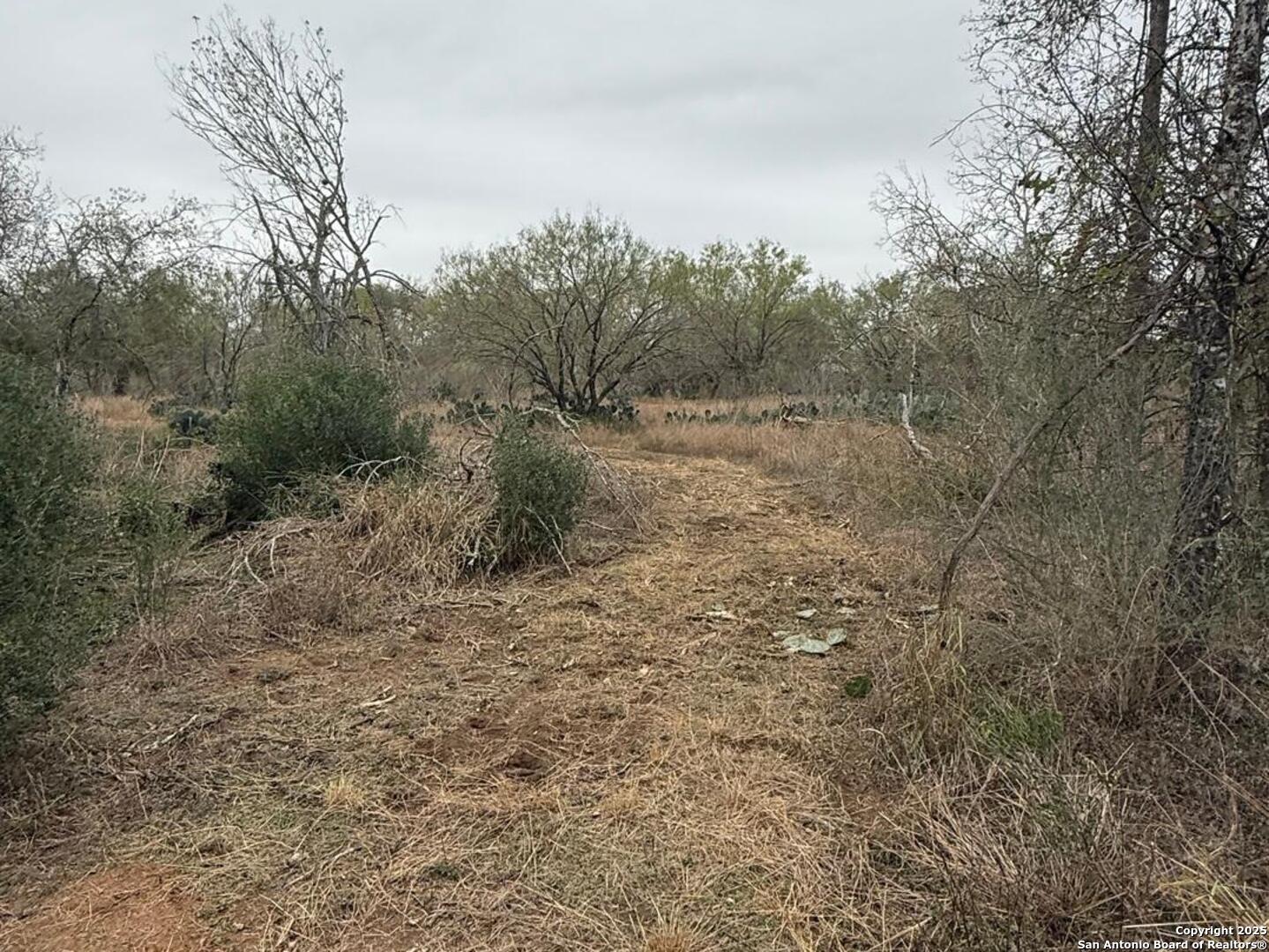 Tbd Gidley Atascosa TX 78002