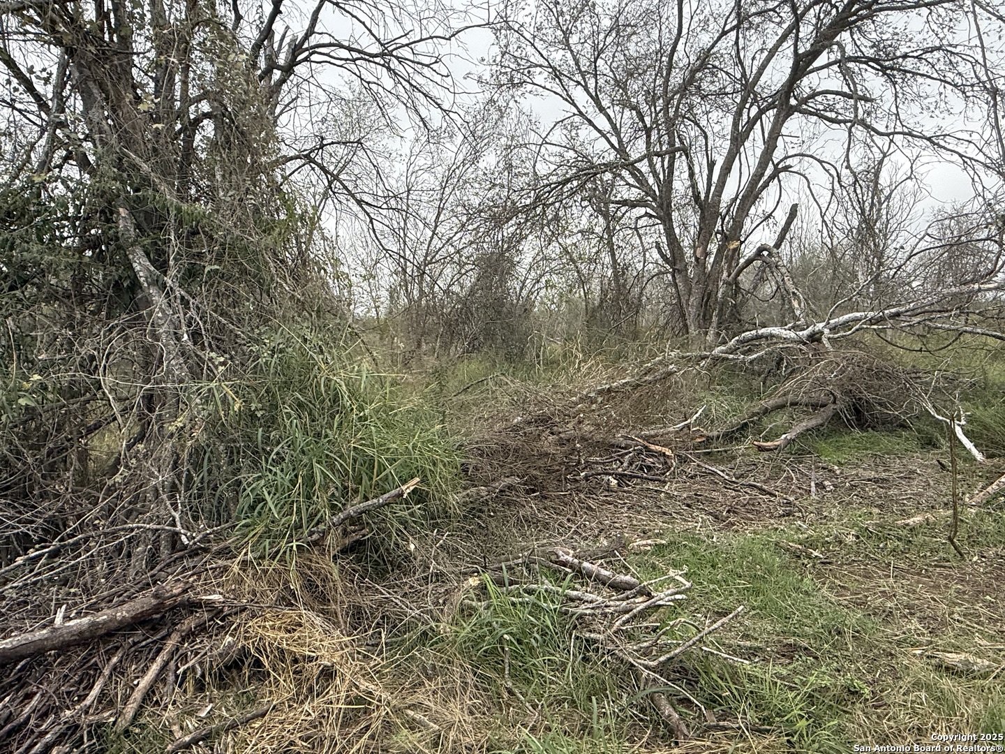 Tbd Gidley Atascosa TX 78002