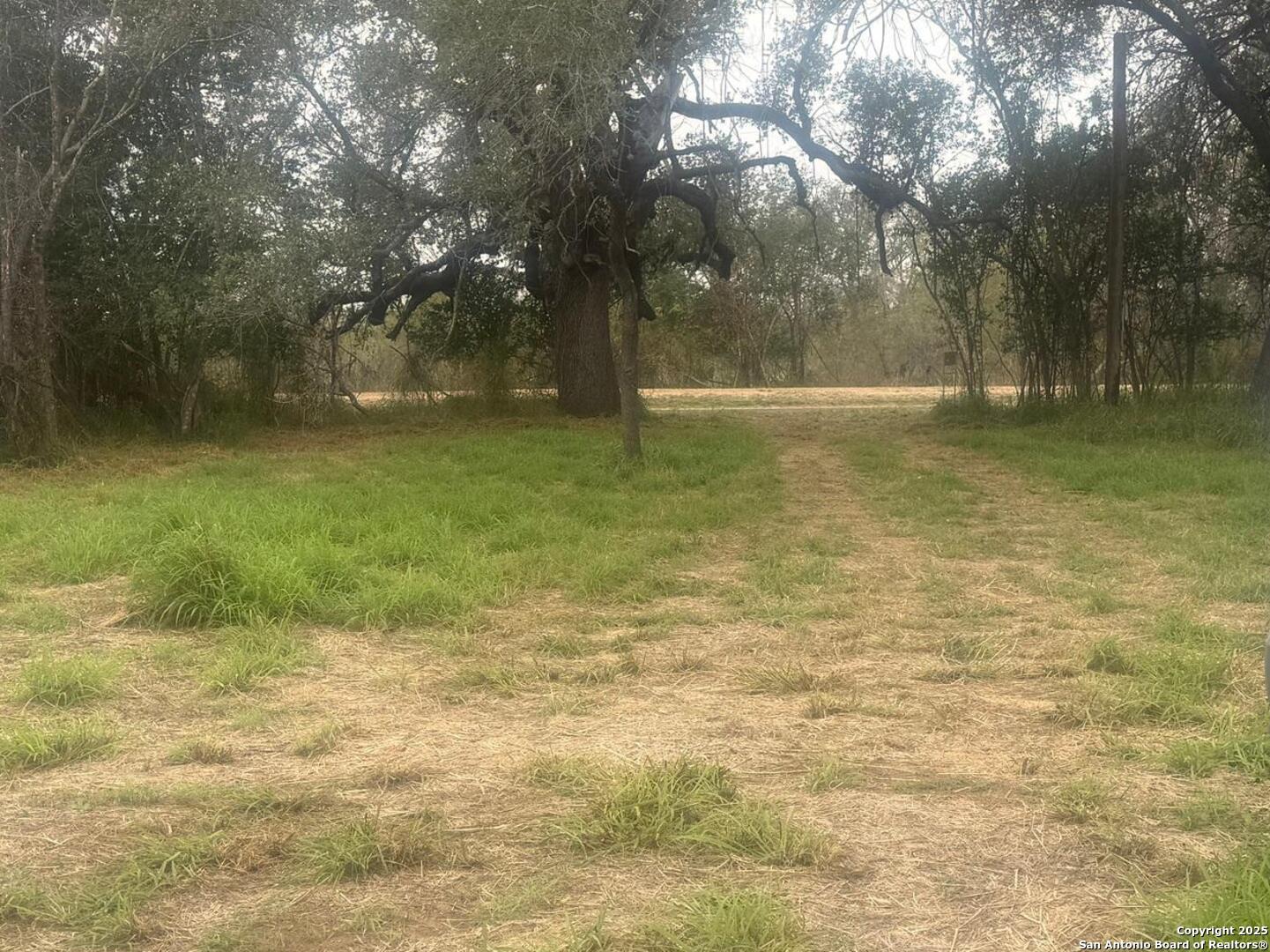 Tbd Gidley Atascosa TX 78002