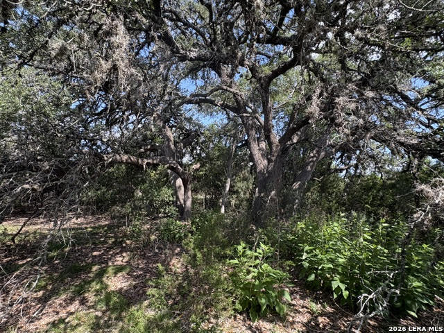 Lot 2025 Split Ridge Spring Branch TX 78070