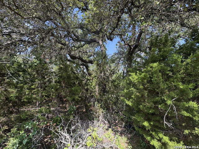 Lot 2025 Split Ridge Spring Branch TX 78070