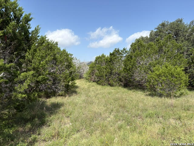 Lot 2025 Split Ridge Spring Branch TX 78070