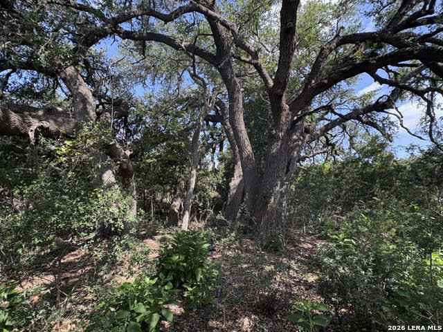Lot 2025 Split Ridge Spring Branch TX 78070