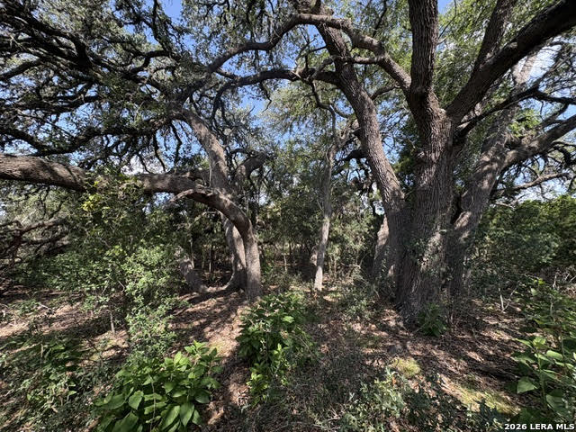 Lot 2025 Split Ridge Spring Branch TX 78070