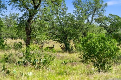 620 Rio Vista Road Johnson City TX 78636