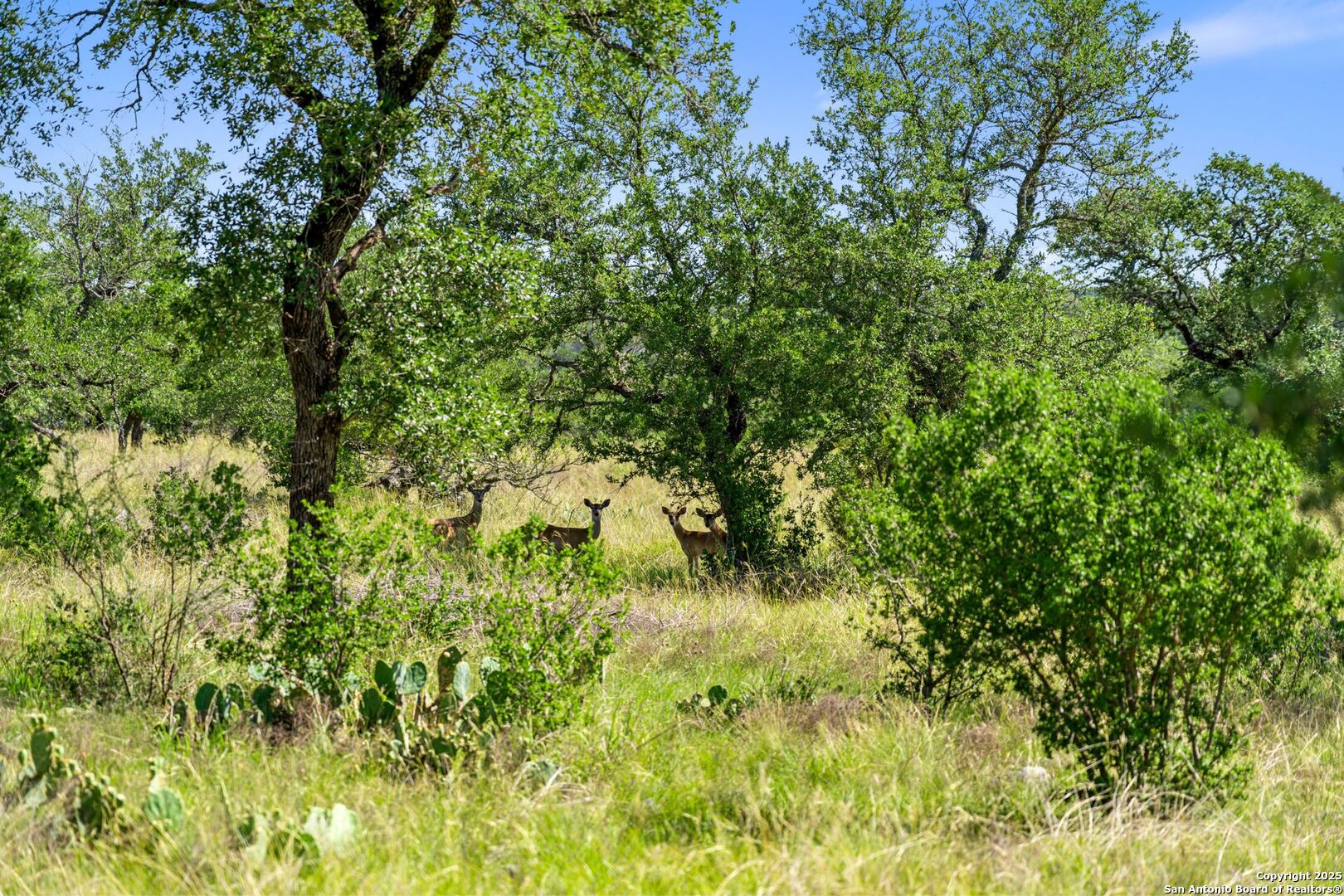 620 Rio Vista Road Johnson City TX 78636