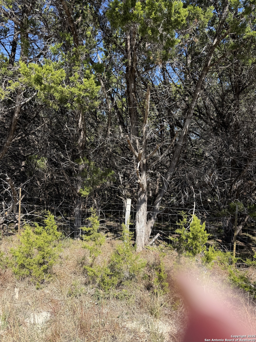 Lt 392 Forest Trail Drive Bandera TX 78003