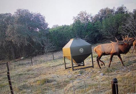 15019 County Road 310 Rocksprings TX 78880