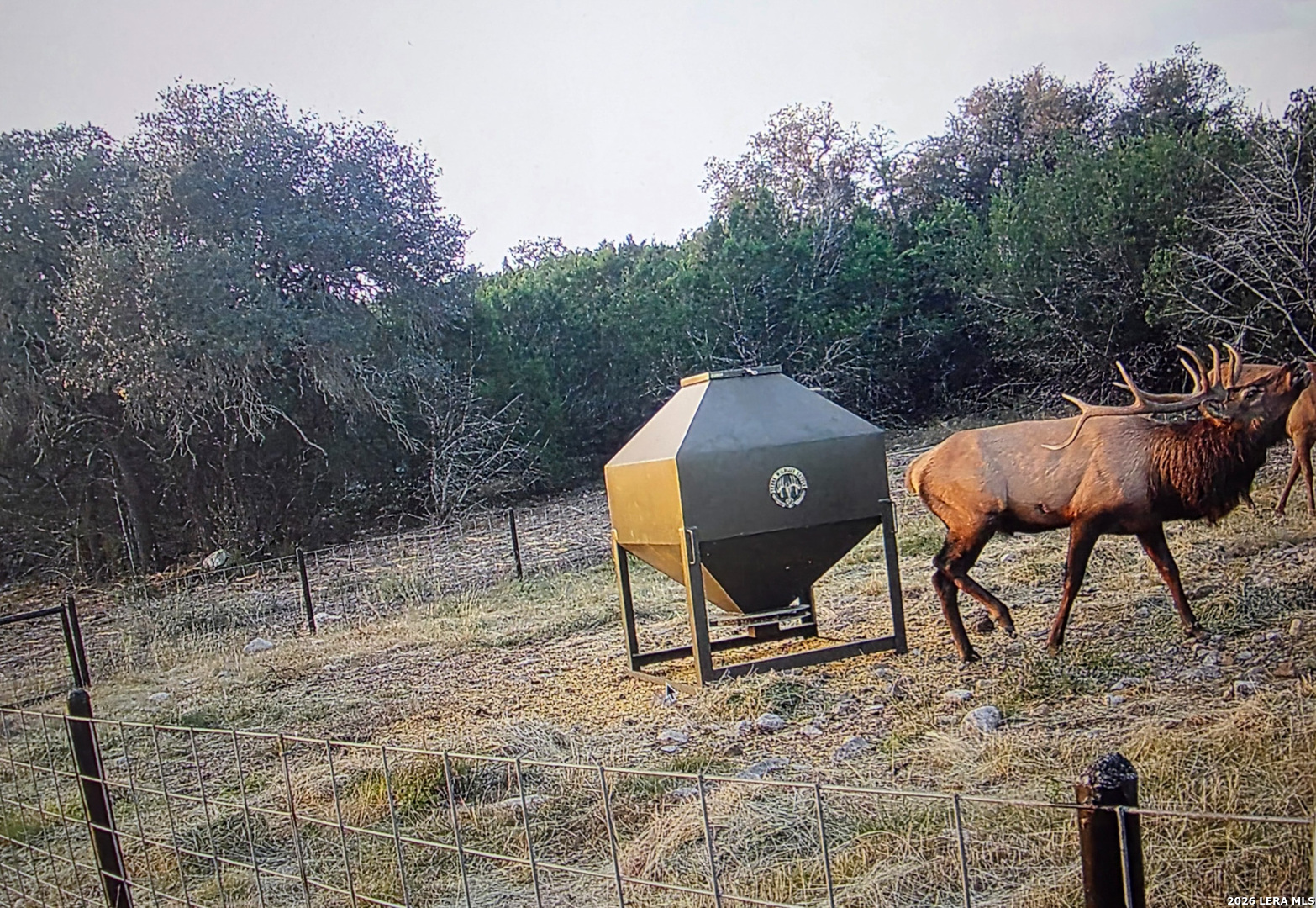 15019 County Road 310 Rocksprings TX 78880