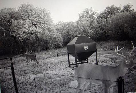 15019 County Road 310 Rocksprings TX 78880