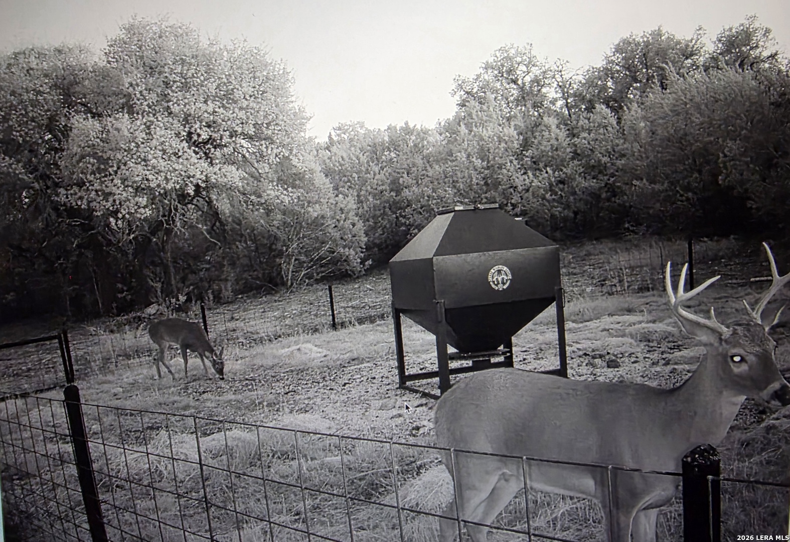 15019 County Road 310 Rocksprings TX 78880