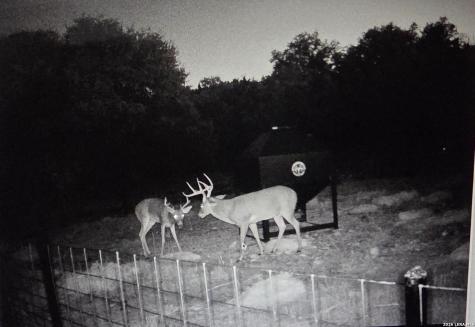 15019 County Road 310 Rocksprings TX 78880