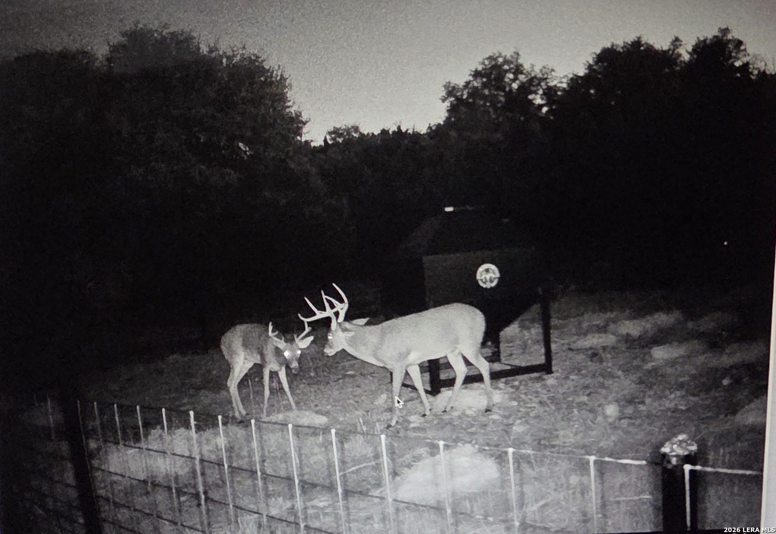 15019 County Road 310 Rocksprings TX 78880