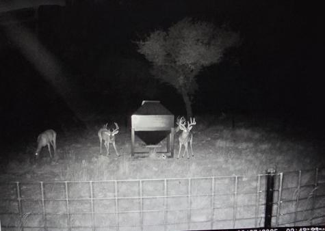 15019 County Road 310 Rocksprings TX 78880