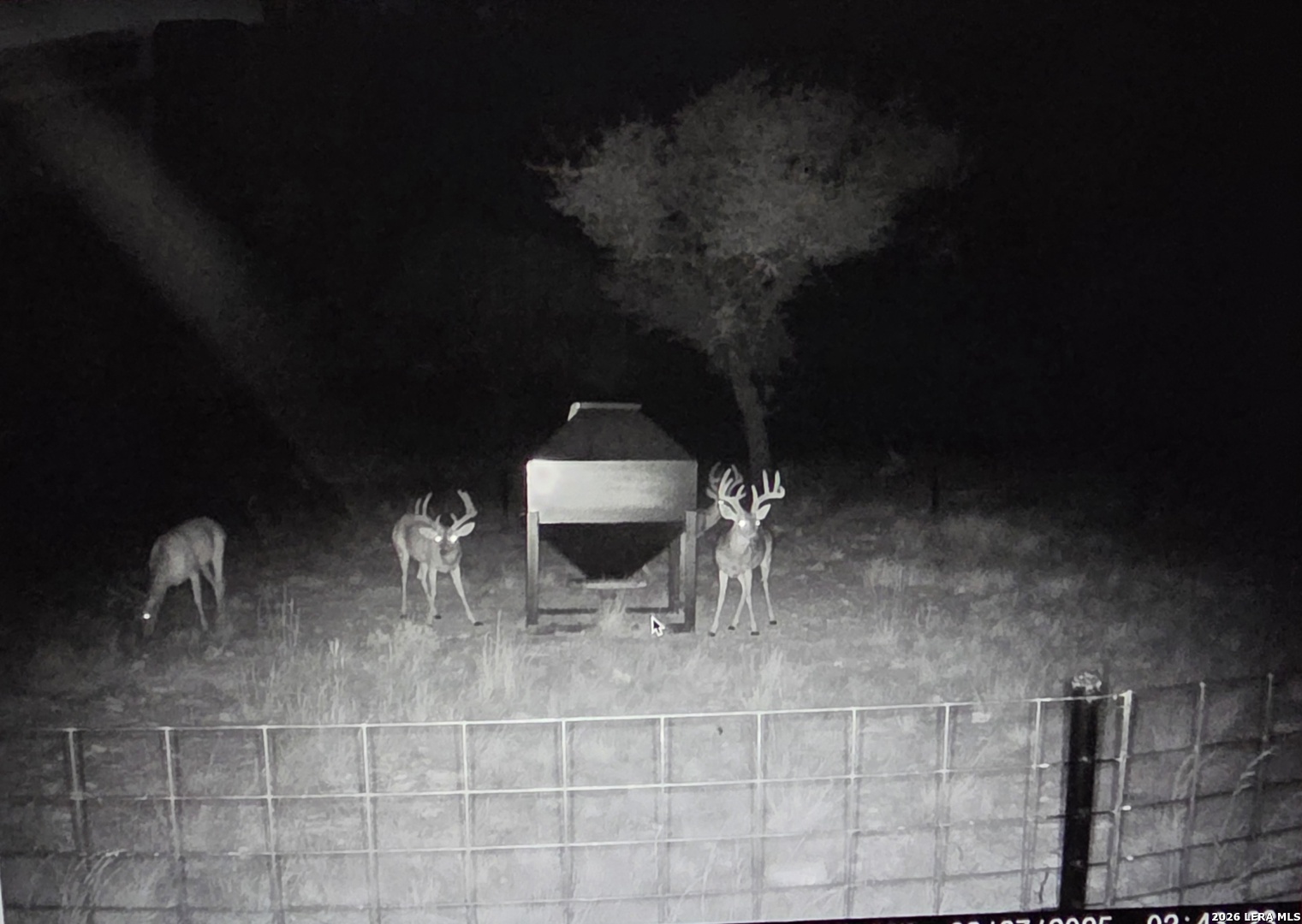 15019 County Road 310 Rocksprings TX 78880