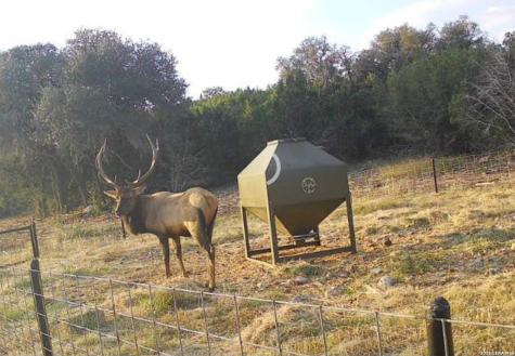 15019 County Road 310 Rocksprings TX 78880