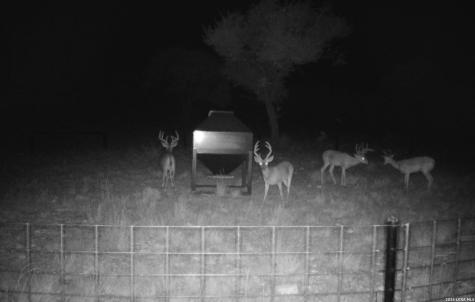 15019 County Road 310 Rocksprings TX 78880
