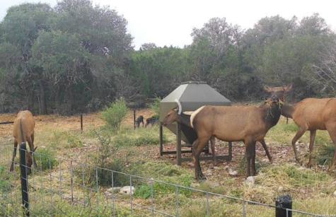 15019 County Road 310 Rocksprings TX 78880