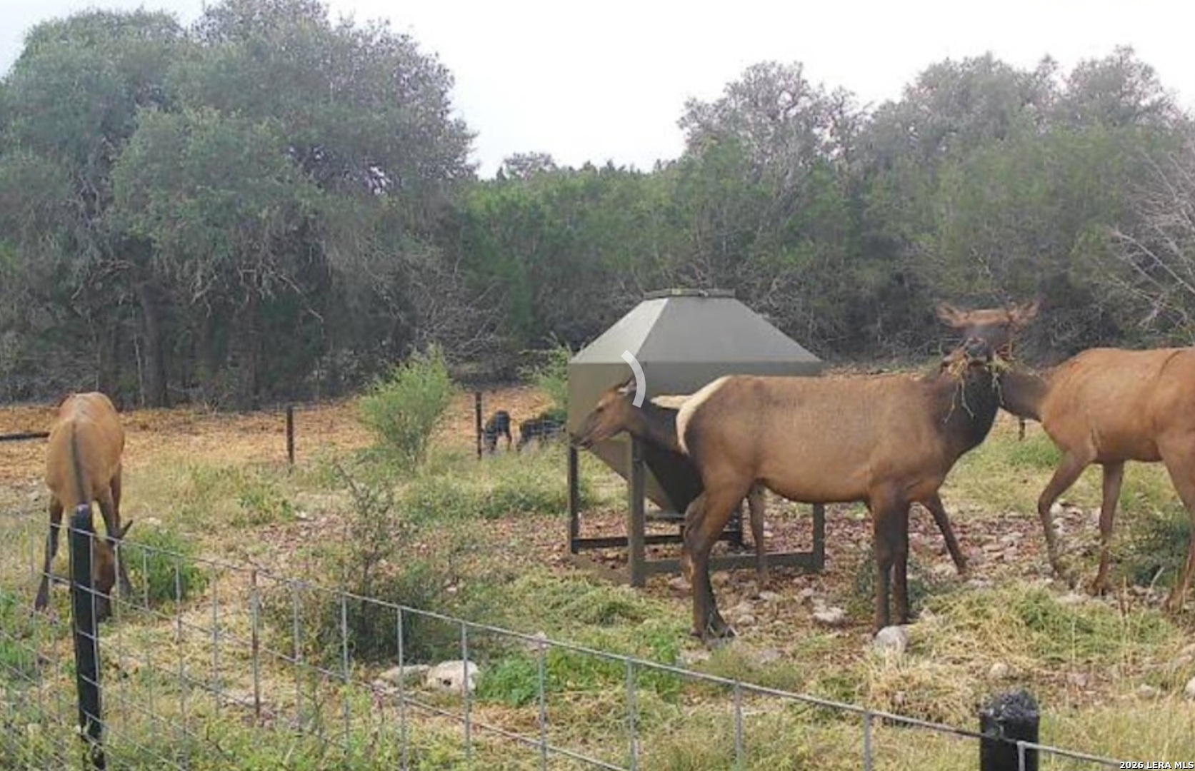 15019 County Road 310 Rocksprings TX 78880