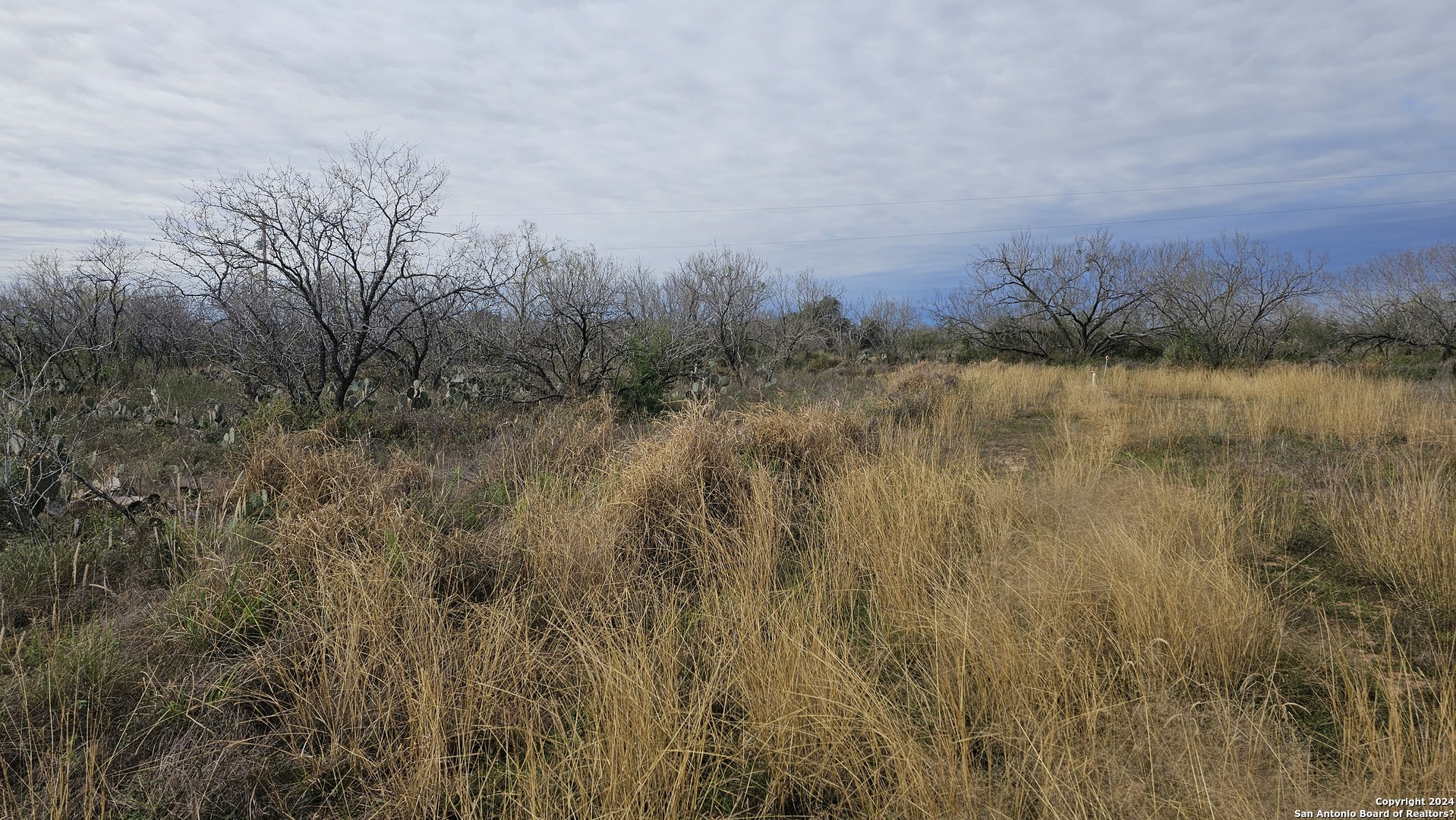 949 W Avenue K Lots 3283-3285 Christine TX 78012