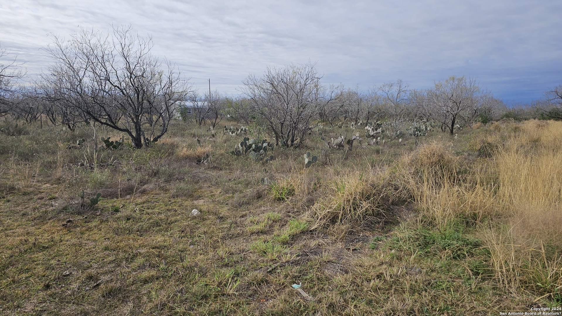 949 W Avenue K Lots 3283-3285 Christine TX 78012