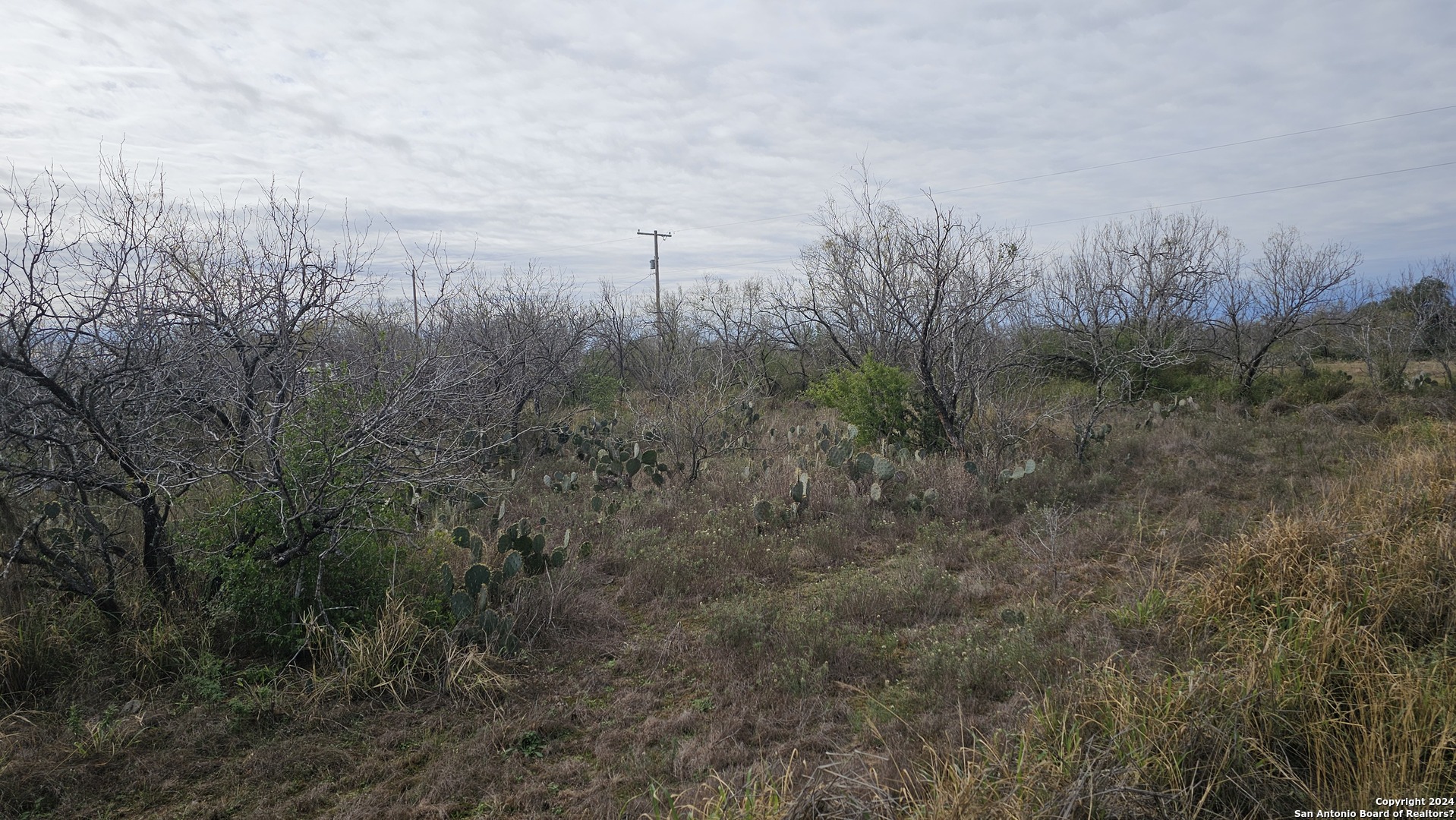 949 W Avenue K Lots 3283-3285 Christine TX 78012