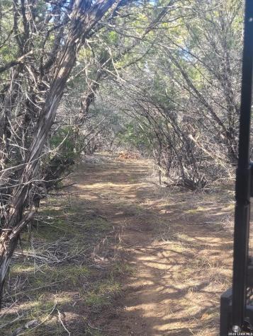 Lot 20 County Road 357b Utopia TX 78884