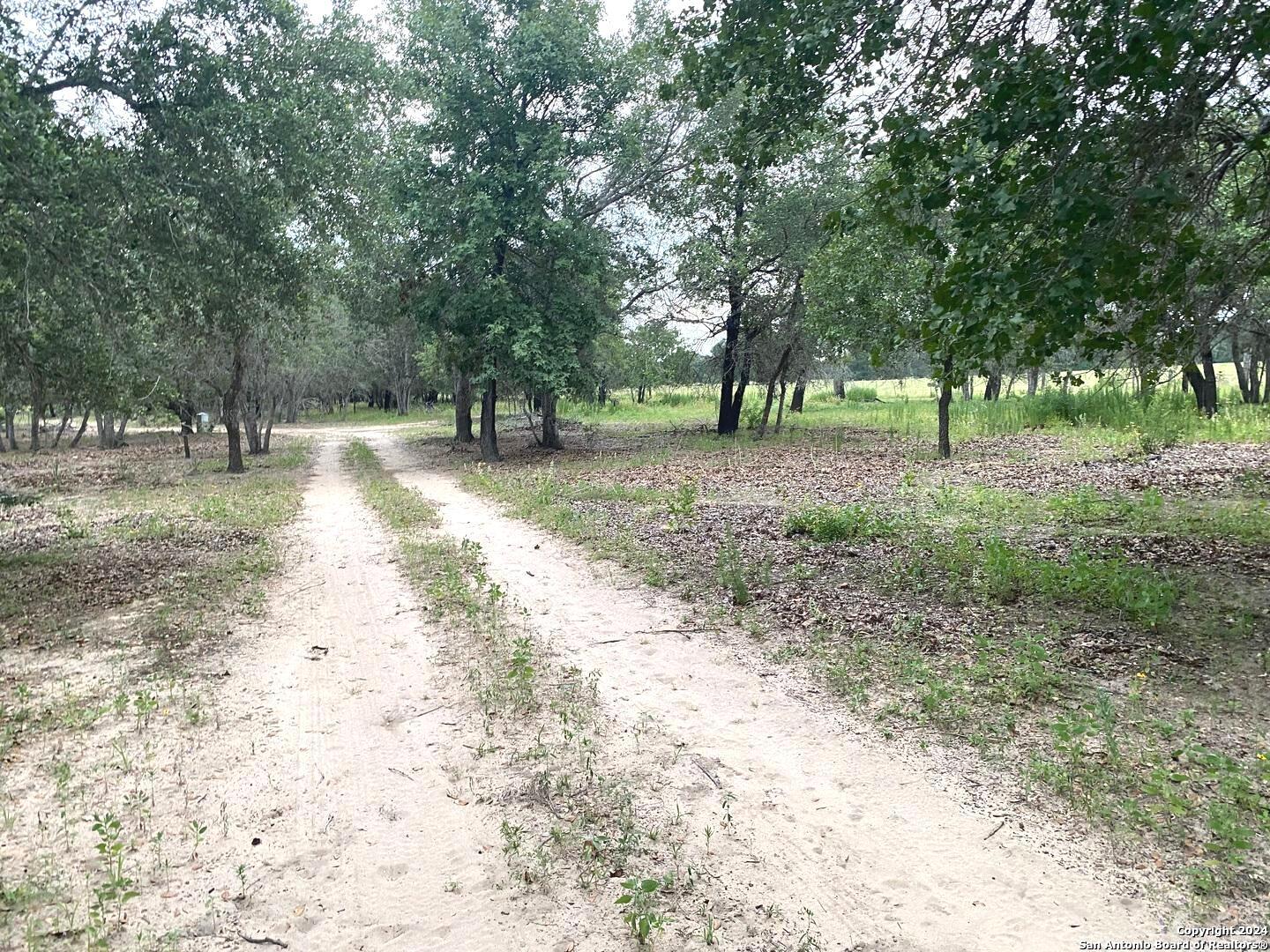 1550 E Hickory Lane San Antonio TX 78264