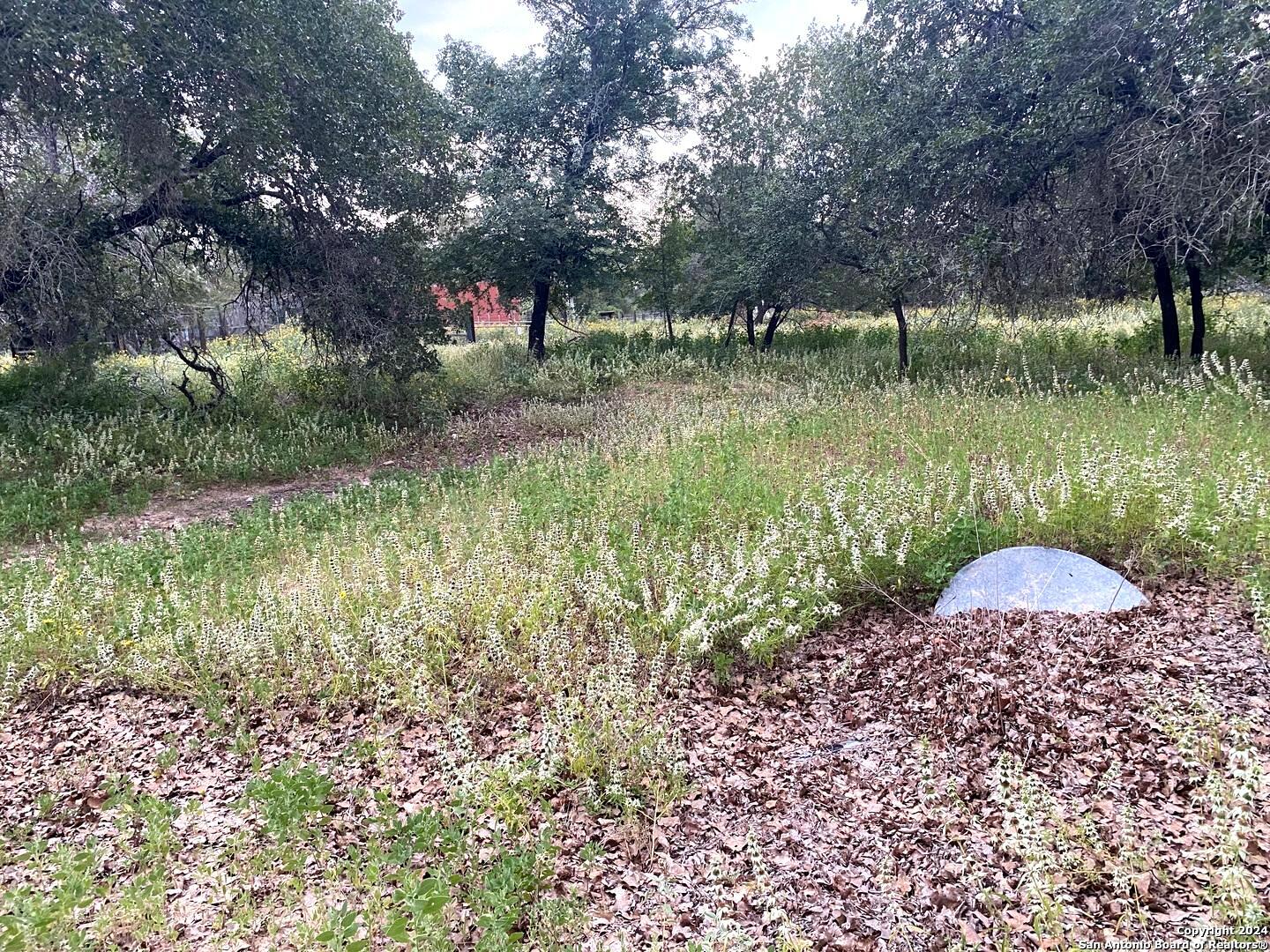 1550 E Hickory Lane San Antonio TX 78264