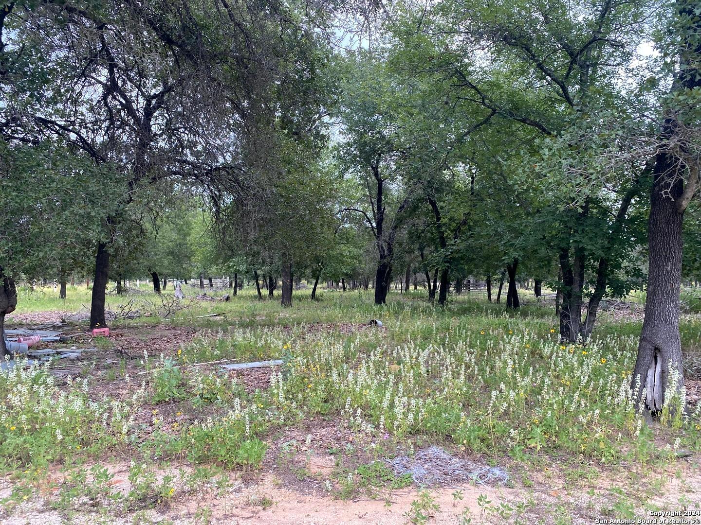1550 E Hickory Lane San Antonio TX 78264