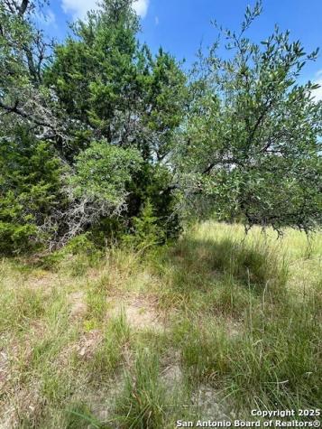 Tbd Lot 3 Royal Eagle Fischer TX 78623