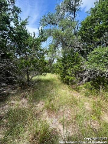 Tbd Lot 3 Royal Eagle Fischer TX 78623