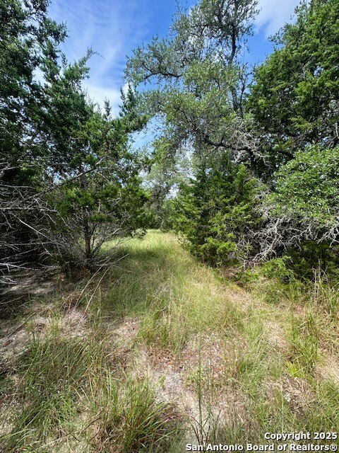 Tbd Lot 3 Royal Eagle Fischer TX 78623