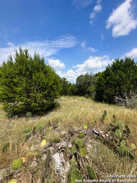 Tbd Lot 3 Royal Eagle Fischer TX 78623