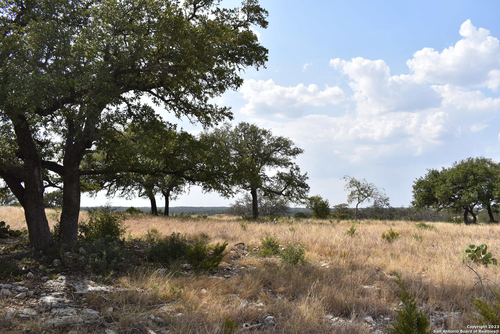 000 Cattlemans Crossing Drive Kerrville TX 78028